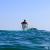 Nigel Shellharbour SUP Festival 2022 7